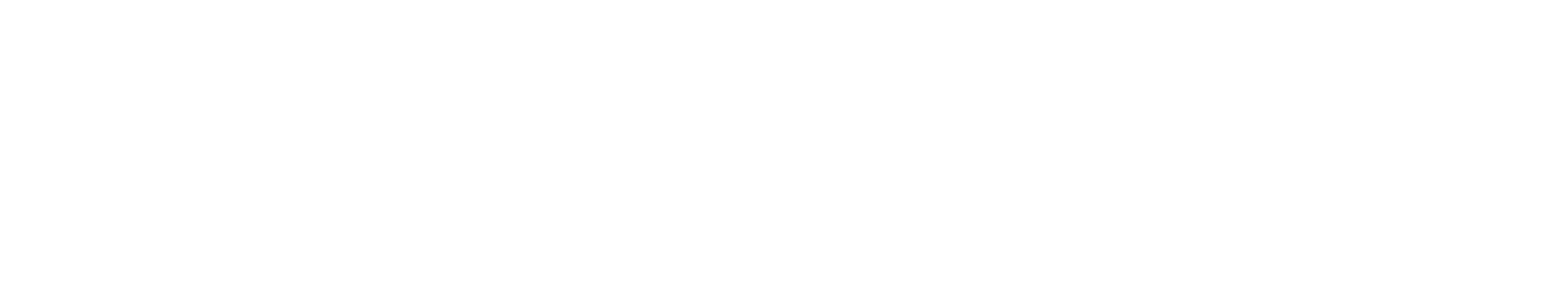 Förderung - netTrek Logo weiß